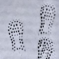 John Wick (prod. hoodrixh)