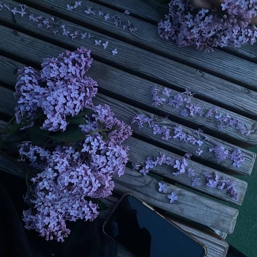 everything is nothing