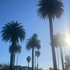 Kniteforce  Radio Napier 7th Dec 2025 Jungle DnB