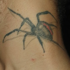 -Blessings 🎶🔥🚀