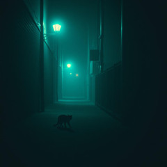 Dark Covenant