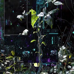 YUNG DODO-WWW.IWANNADIE.COM