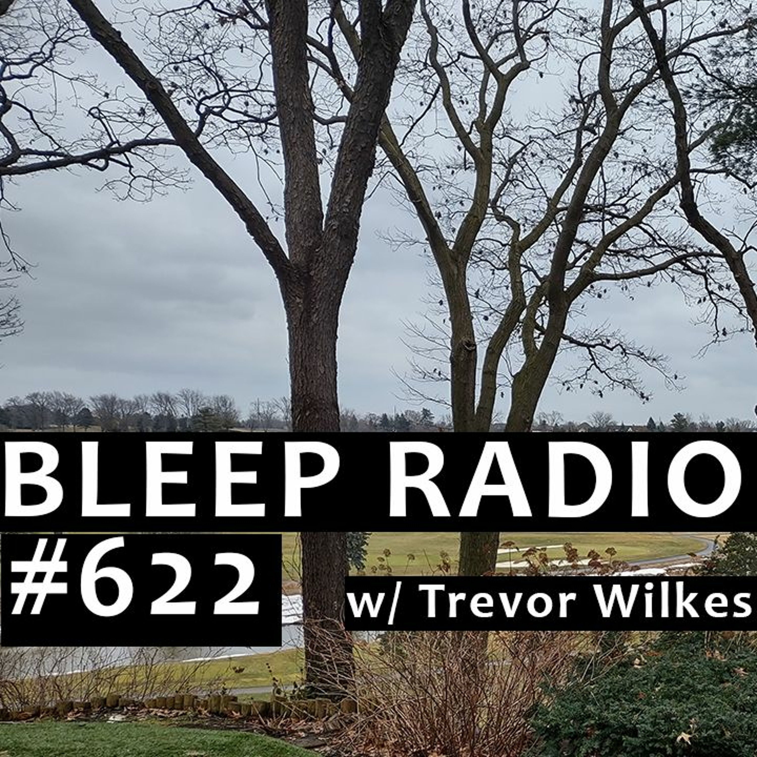 Bleep Radio w/ Trevor Wilkes