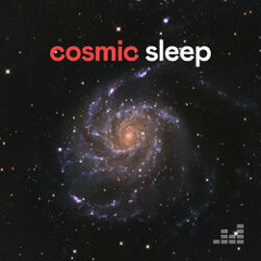 Cosmic Sleep