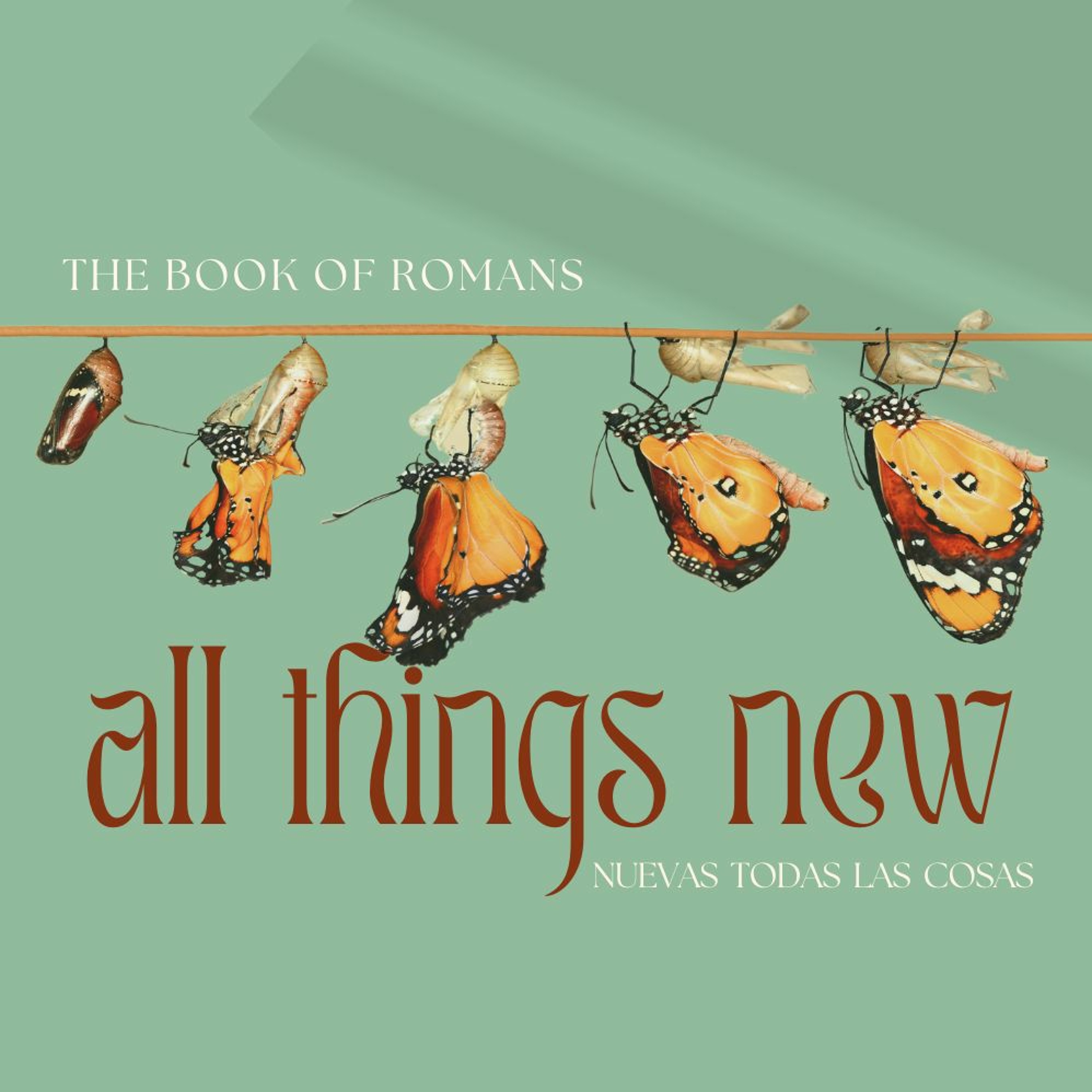 Connecting to God through Creation (Romans 1:20; Psalm 33)— Pastor Trevor McMaken episode artwork