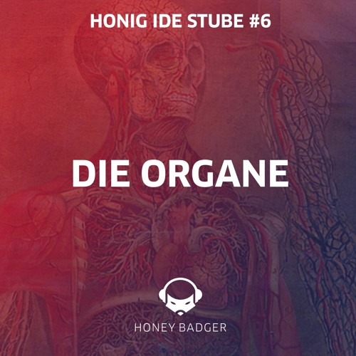 Die Organe live @ Honig i de Stube #6 (28.11.2020)