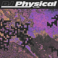 Premiere: DJ Physical - Silver Lake [PALMSLP003]