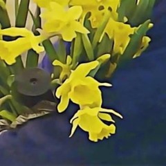 5 Dean Blunt, Elias Rønnenfelt [instrumental]