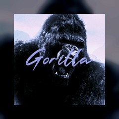 MP - Gorilla