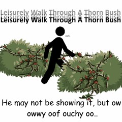 Leisurely Walk Through A Thorn Bush