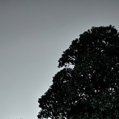 It’sLikePain (Prod by @AnvilOfficial)