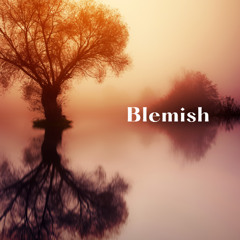 Blemish