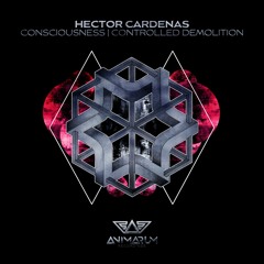 Hector Cardenas - Consciousness