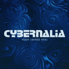 Cybernalia - Yeah (Wired Mix)