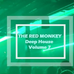 Deep House 7 - The Red Monkey - Melodic & Techno