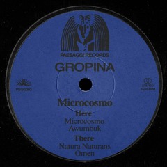 Gropina - Microcosmo (PSGG003)