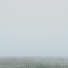 Landscape in Asleep (FULL Album)