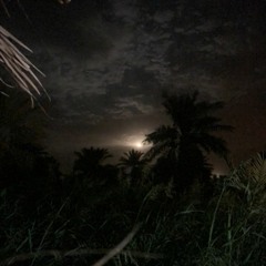 أرقٌ أرق | مزيج