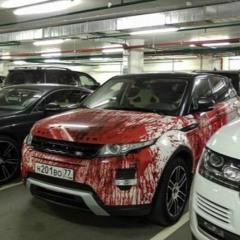 ROVER ™