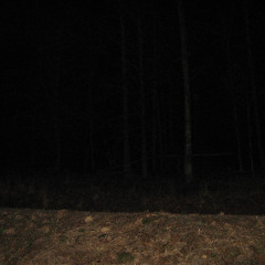 learning how to read the room