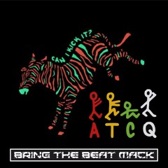 A Tribe Called Quest - Can I Kick It (Bring The Beat Mack Drum and Bass Remix)
