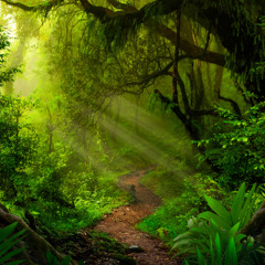 Jungel Party v1 (Original) 109