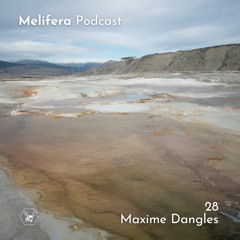 Melifera Podcast 28 | Maxime Dangles
