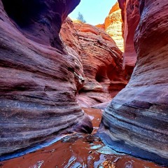 Dec 17 BRING BACK YOUR VIBE MIX 5 DOUWE MURDI 2021