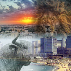 TNS 133: Getting to the Core of the 'Anti-Bibi' Protests (with Paul Gross)