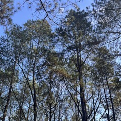 Sing Pait Sing Manis (feat. Made Gunawan).mp3