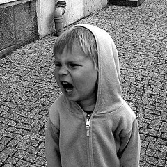 Scream