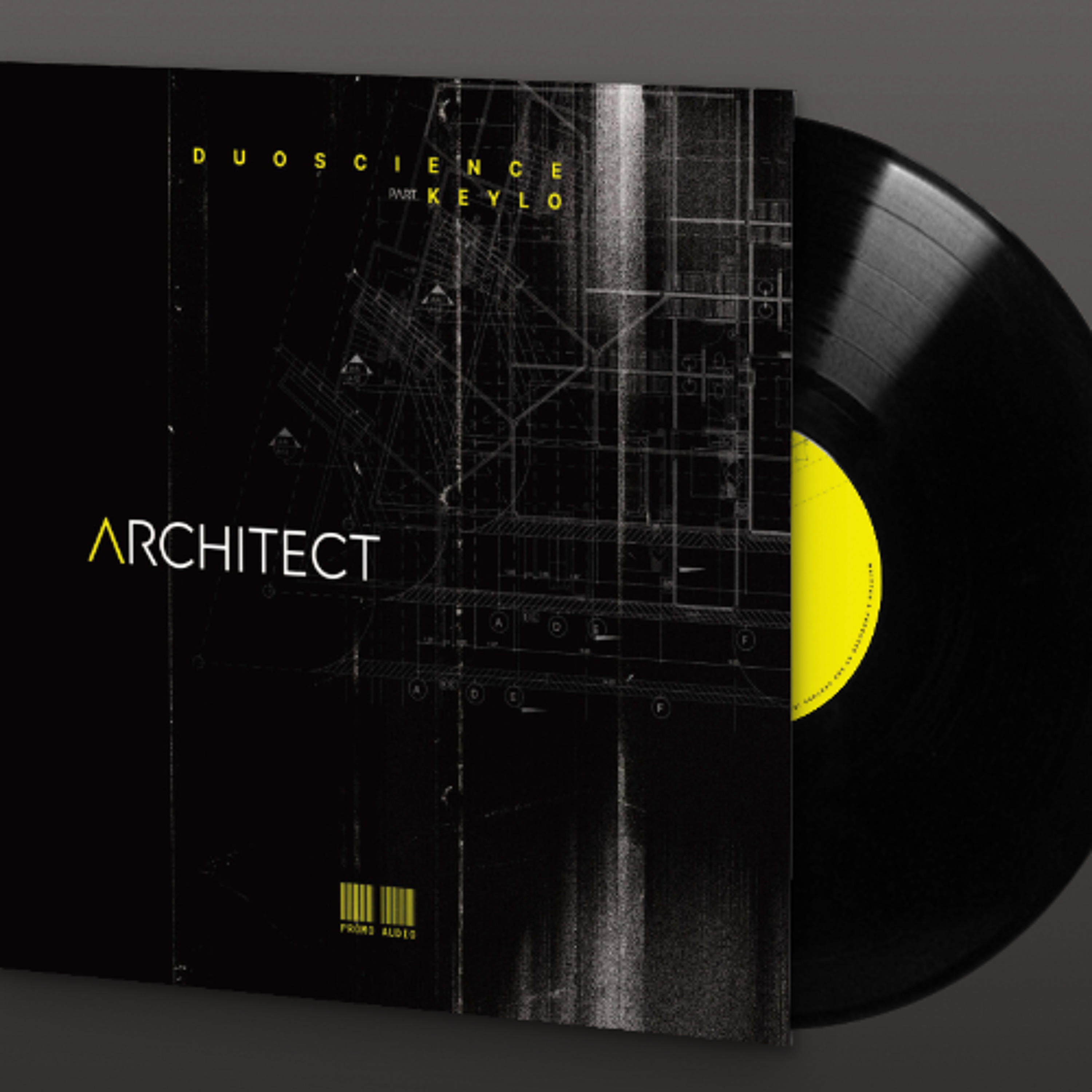 Duoscience feat. Keylo- The Architec EP  (Vinyl & Digital) episode artwork