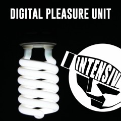 Digital Pleasure Unit (19.12.20)