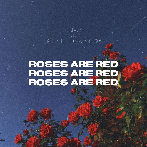 Roses Are Red - RUAR. & Noah Edwards