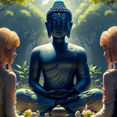Siddartha Transition (Radio Edith)