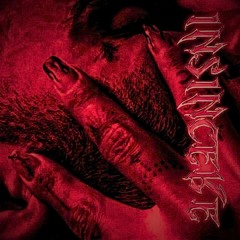 Related tracks: insincere dorcci (slow version)