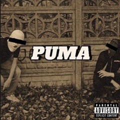 Maciura x Wirtual -Puma