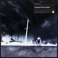 Marigold - Condition Zero (OUT NOW on LOWDOWN RECORDINGS)