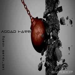 Assad Harri - Bmk (Original Mix)