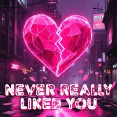 Never Really Liked You