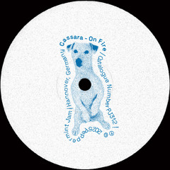 Cassara - On Fire (Extended Mix)