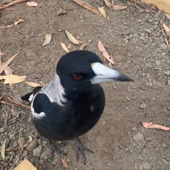 Let’s get Physical