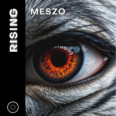 RISING 042 - MESZO