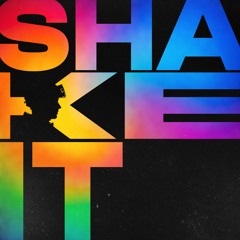 H BOYS - SHAKE IT DUB