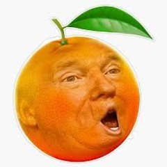 Mr Tangerine Man