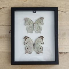 Un amalgame de phrase qui change dans le décor