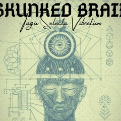 Sk2D Riddim _ Skunked Brain Ft. Anderson de Souza