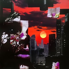 SL33PN0M0R3 :: VOL 001