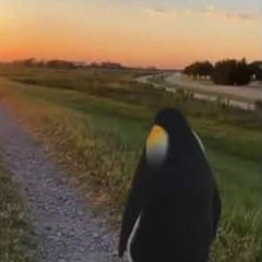 WalkInThe$crap(J3TSKR3VM)
