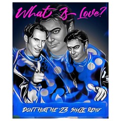 Haddaway Vs ShaZe - What Is Love? (Don't Hurt Me '23 ShaZe Remix)